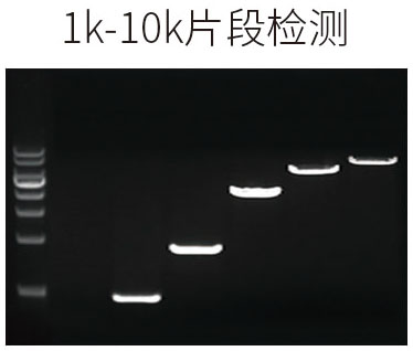 17.12ftaq mix圖2.jpg